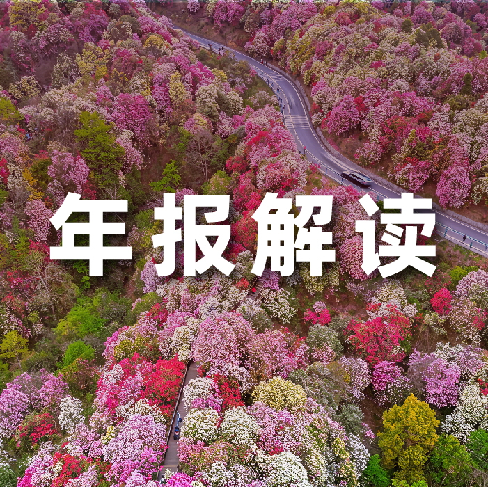 米兰动力2025营收利润双增，全栈智能驱动增长，AI相关业务收入占比达52.6%   